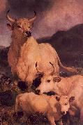 Wild Cattle at Chillingham Sir Edwin Landseer